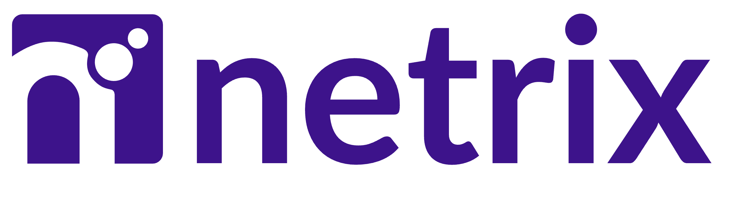 Logo de Netrix