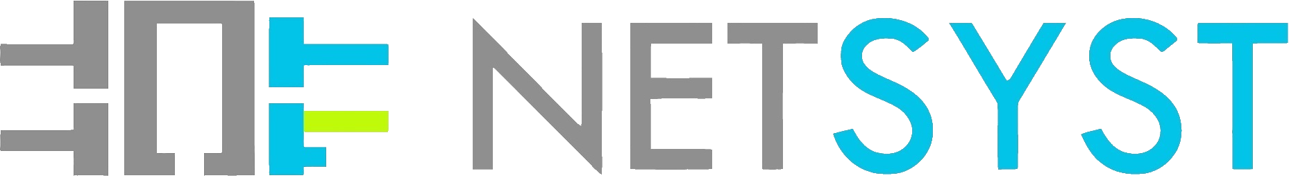 Logo de NETSYST
