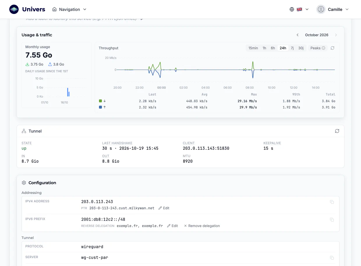 L2TP tunnel page: monthly usage, throughput graph and statistics, connection credentials
